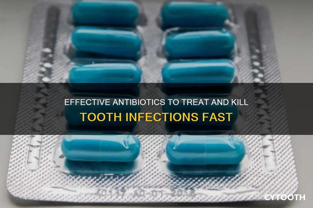 what antibiotic kills tooth infection