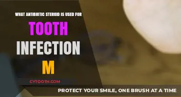 Effective Antibiotic Steroids for Treating Tooth Infections: A Comprehensive Guide