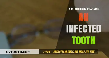 Effective Antibiotics for Treating Infected Tooth: A Comprehensive Guide