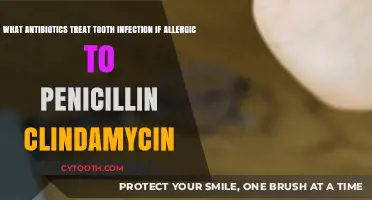 Alternative Antibiotics for Tooth Infections: Options Beyond Penicillin and Clindamycin