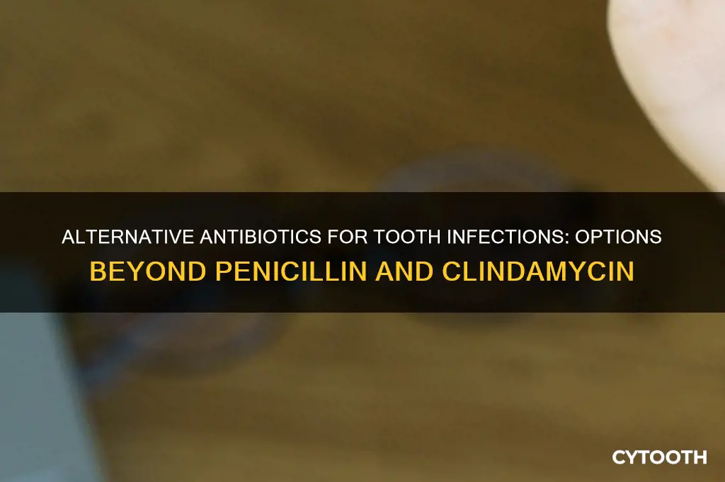 what antibiotics treat tooth infection if allergic to penicillin clindamycin