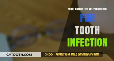 Effective Antibiotics Prescribed for Treating Tooth Infections: A Comprehensive Guide