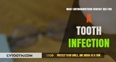 Antibiotics for Tooth Infections: Dentists' Top Choices Explained