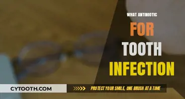 Effective Antibiotics for Treating Tooth Infections: A Comprehensive Guide