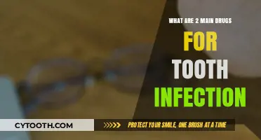 Effective Tooth Infection Treatment: Two Key Antibiotics Explained