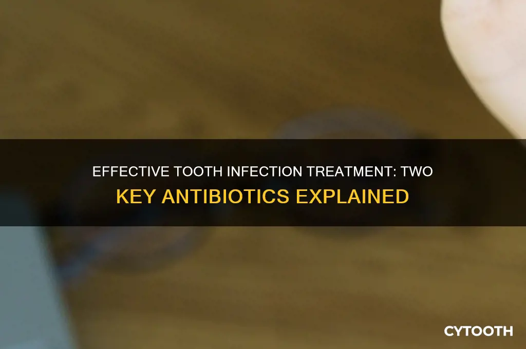 what are 2 main drugs for tooth infection