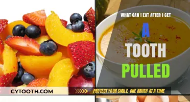 Soft Foods to Eat After a Tooth Extraction: A Healing Guide