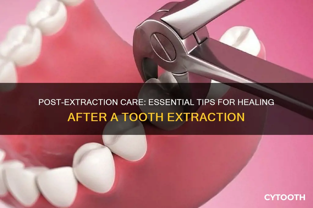 what care do i use after getting a tooth pulled