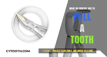 Tools and Techniques Dentists Use for Tooth Extraction Explained