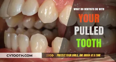 What Happens to Your Pulled Tooth: Dentists' Surprising Practices Explained