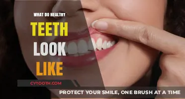 Healthy Teeth 101: Appearance, Color, and Signs of Optimal Oral Health