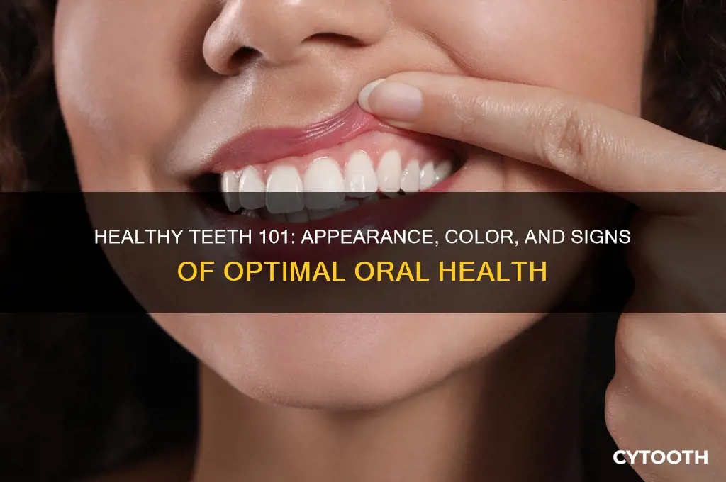 what do healthy teeth look like