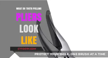 Tooth Pulling Pliers: Design, Appearance, and Dental Extraction Tools