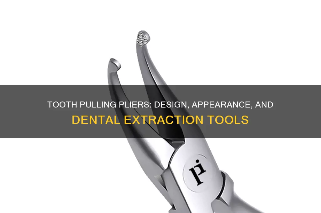 what do tooth pulling pliers look like