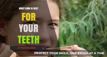 Chew on This: Top Gum Choices for Healthy Teeth and Gums
