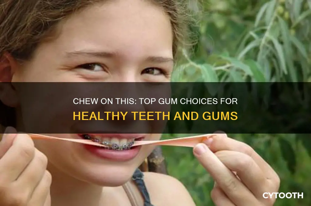 what gum is best for your teeth