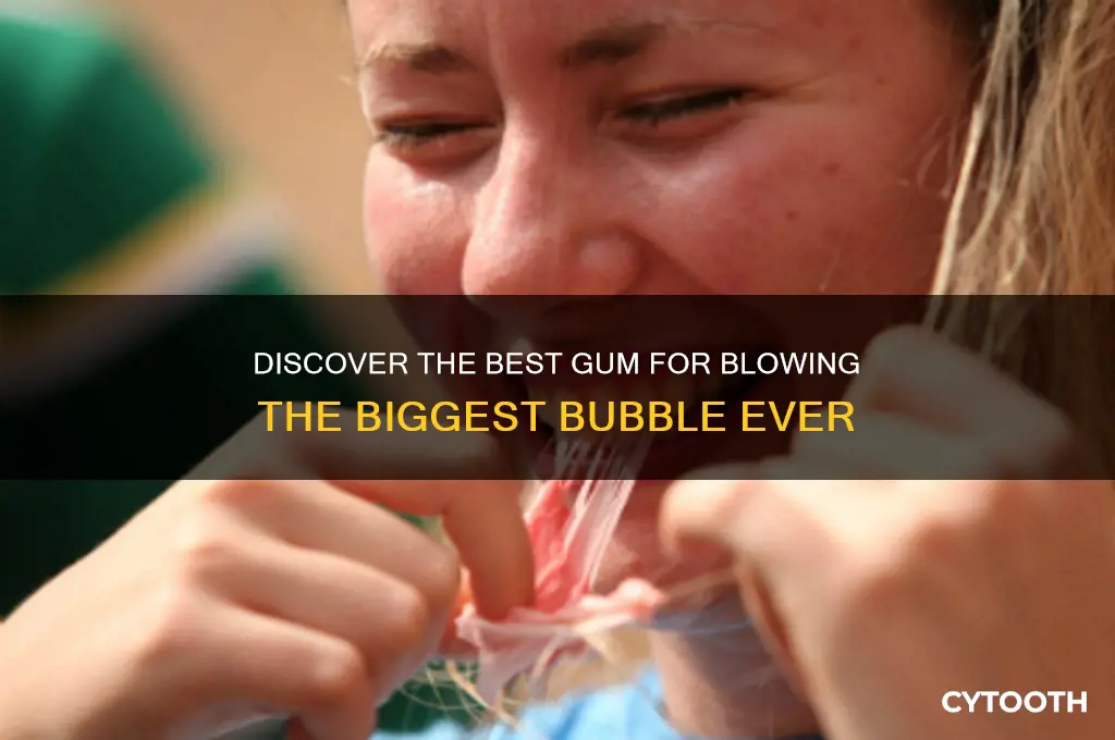 what gum makes the biggest bubble