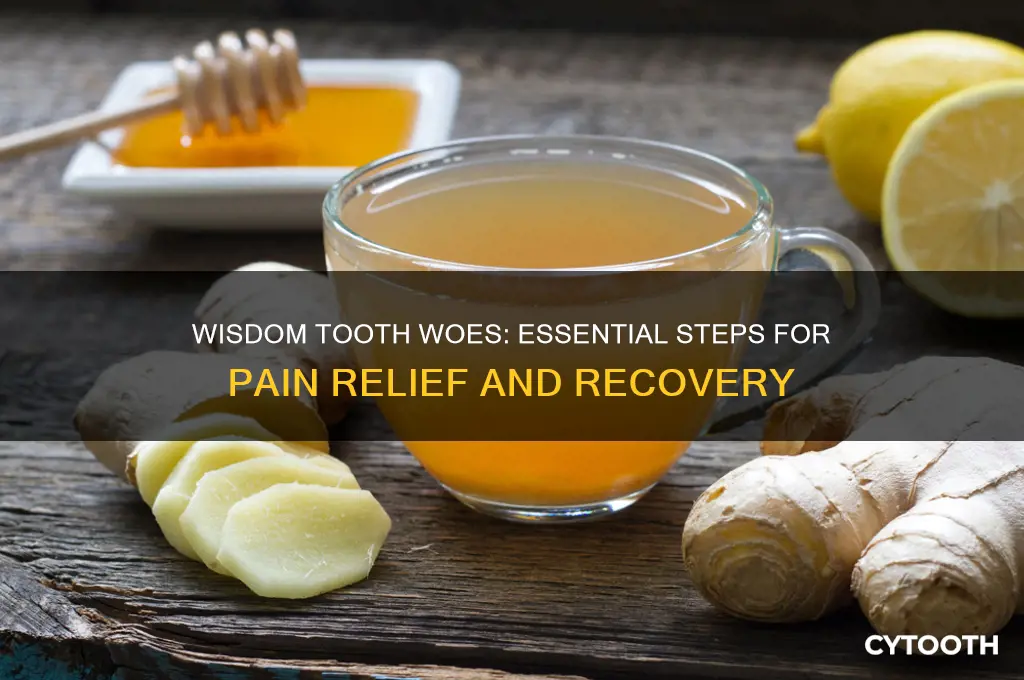 what should you do when you have a wisdom tooth