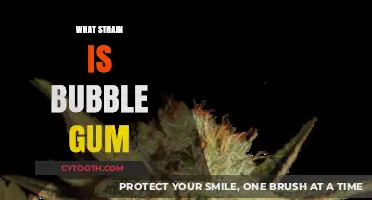 Bubble Gum Strain: Origins, Effects, and Why It's a Sweet Favorite