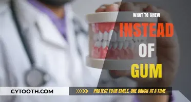 Healthy Alternatives to Chewing Gum: What to Chew Instead