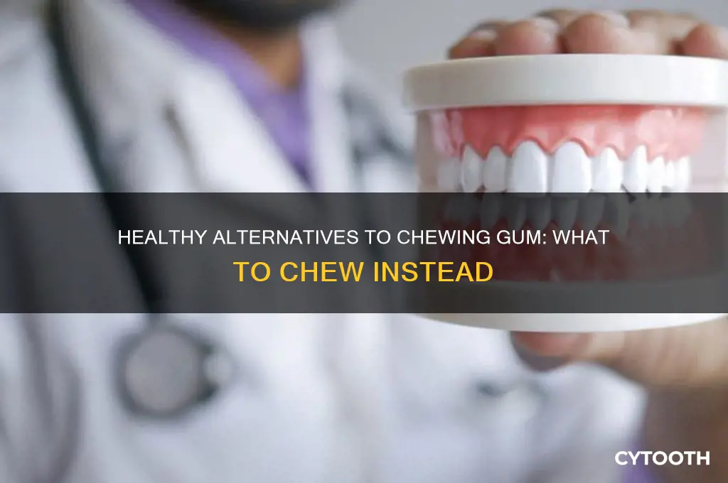 what to chew instead of gum