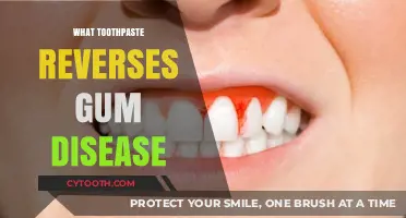 Effective Toothpaste Options to Reverse Gum Disease and Restore Oral Health