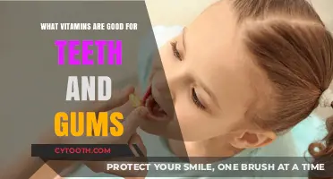 Essential Vitamins for Healthy Teeth and Gums: A Complete Guide