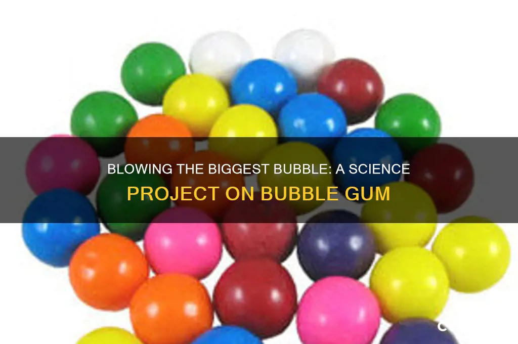 which bubble gum blows the biggest bubble science project