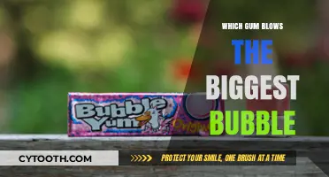 Discover the Ultimate Bubble-Blowing Gum: Which Brand Reigns Supreme?