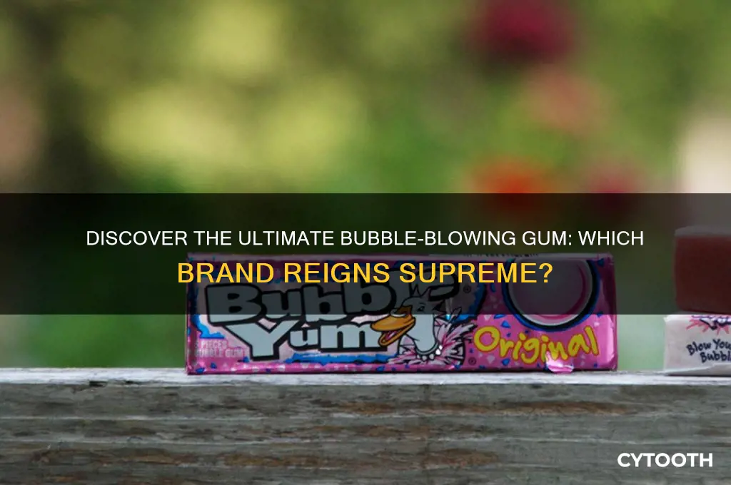 which gum blows the biggest bubble