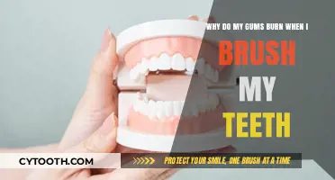 Why Do My Gums Burn When I Brush My Teeth?