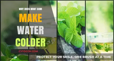 The Science Behind Mint Gum's Chilling Effect on Water