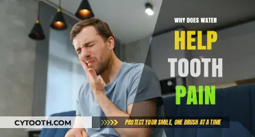 How Water Relieves Tooth Pain: Simple Remedies Explained